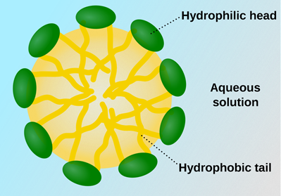 micelles-2